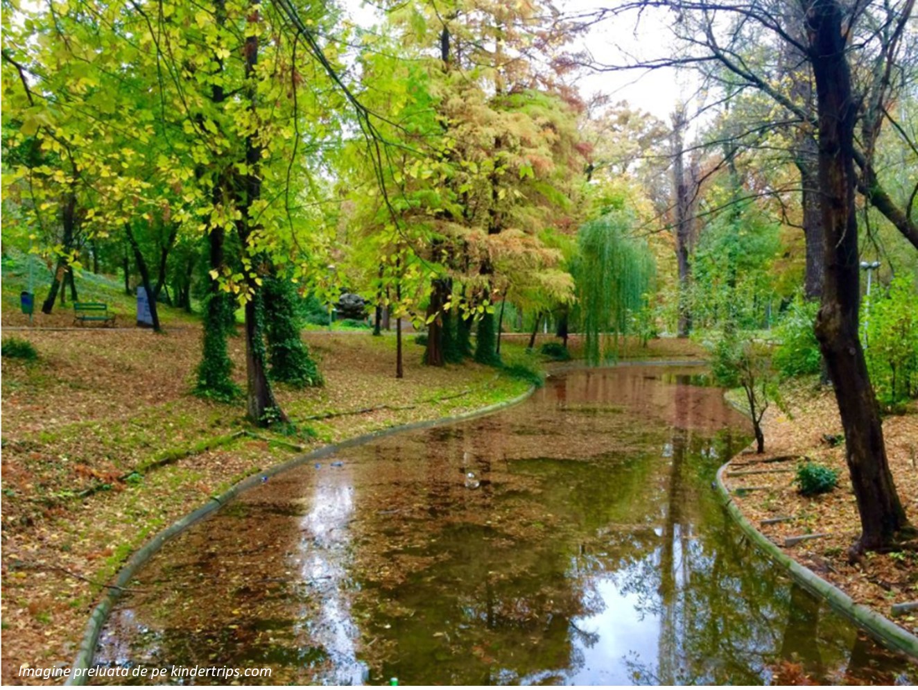 After-school aproape de Parcul Carol - curtea Astoria